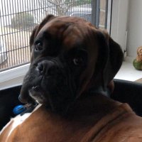 Gary Summerhill (@g7sum) 's Twitter Profile