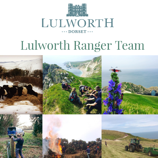 Countryside Ranger Team involved in environmental land management, education and visitor enjoyment. #LulworthCove, #DurdleDoor on the #JurassicCoast.