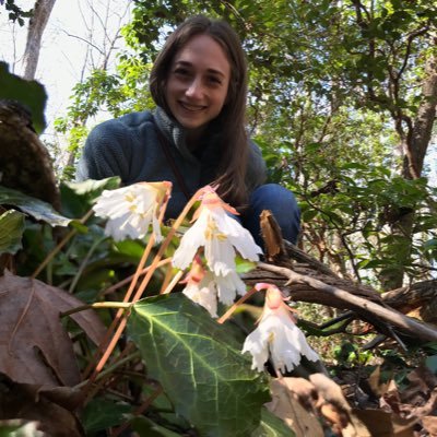 PhD Candidate at @UF I polyploidy evolution | current @iDigBio RA | #UCFAlumni (she/her) | aka Michelle