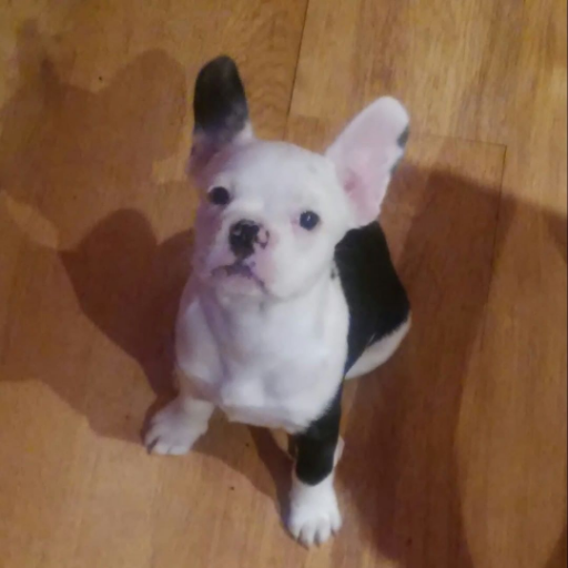 ZiCkLEER's profile picture. =)