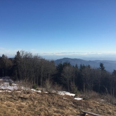 rebeccabstract's profile picture. Artist/Producer