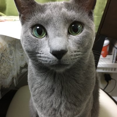 CraftZiba's profile picture. ヌメ革が好きでレザークラフトを楽しんでます。貴方の欲しい物を形してお届け致します。随時注文受付中です！https://t.co/VxlyjrXE3W  無言フォローで失礼します🙏