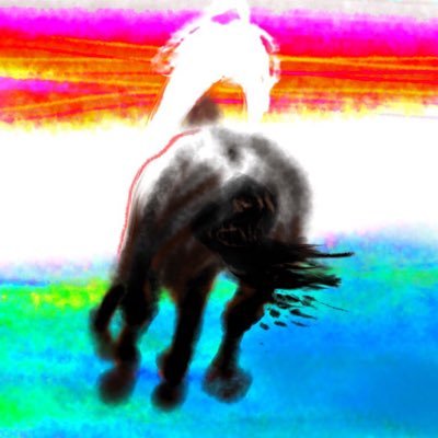 カンサン牡35さんのプロフィール画像