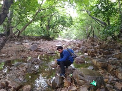 JpWaghela's profile picture. 💪 કચ્છી માડુ 💪