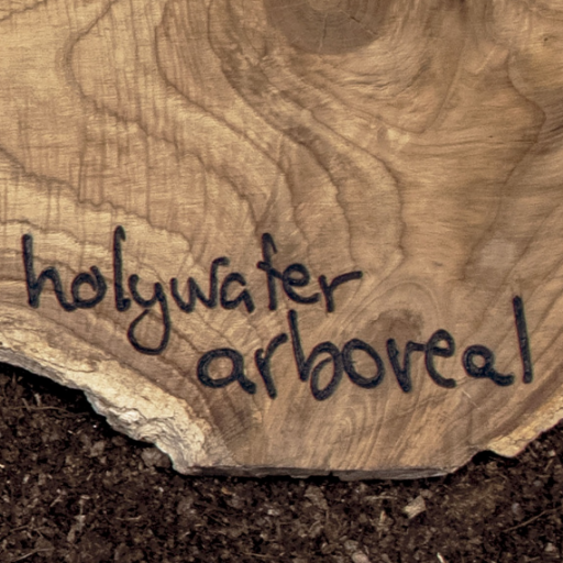 holywaterband Profile Picture