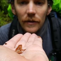 George Swan (@gjfswan) 's Twitter Profile