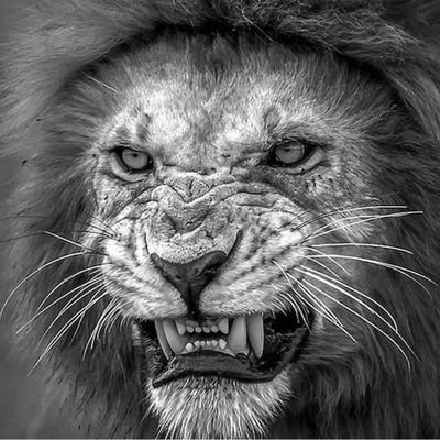 david57290's profile picture. 