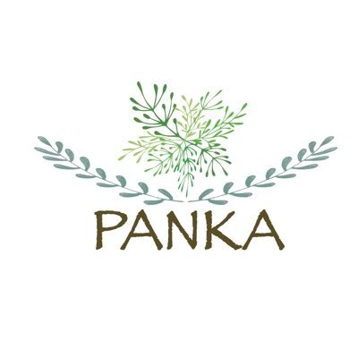 PANKA Skincare 🍃 Salud y Bienestar a tu alcance ✨ Producto 100% Ecuatoriano 🇪🇨 Cruelty free 🌱