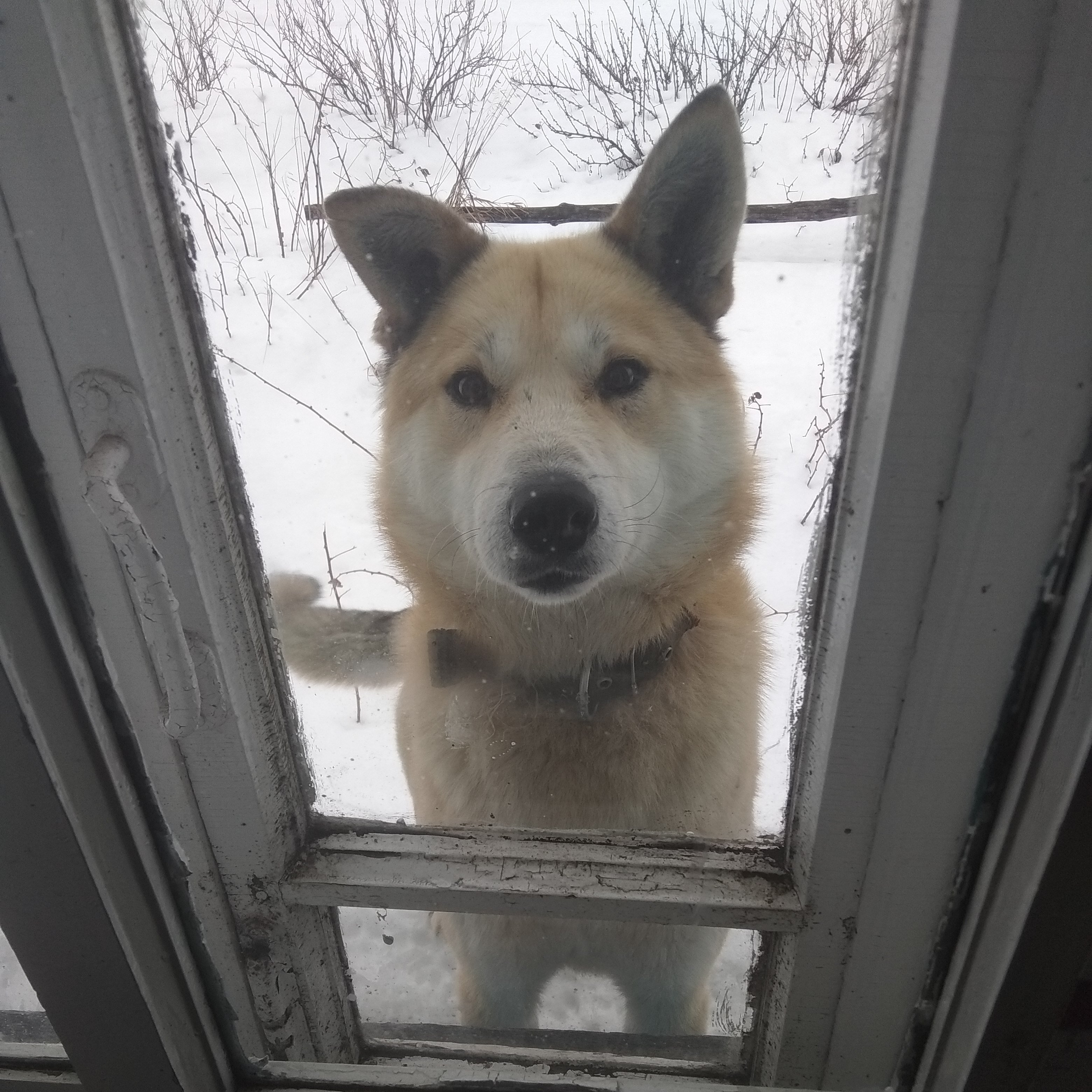 ZXdRGZTSSYe0Jjw's profile picture. Я свободен, и это главное.