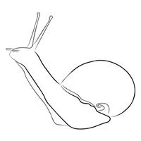 Snail Trail Press (@snailtrailpress) 's Twitter Profile