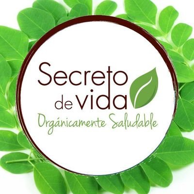 Moringa un superfood de gran valor nutricional, el aliado perfecto para mejorar tu salud