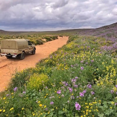 mobarkbinl7e's profile picture. 