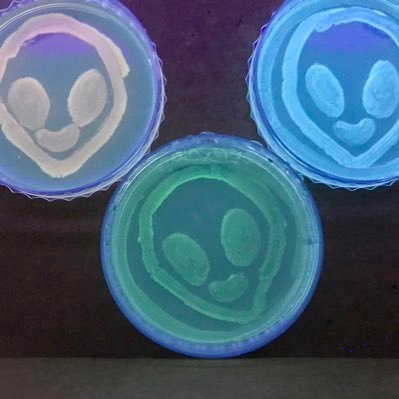 jpahara's profile picture. Love science