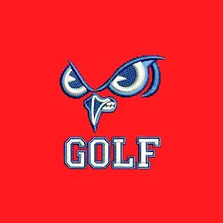 Slinger Boys Golf Profile