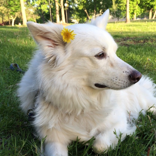 XplosiveAmnesia's profile picture. they/them