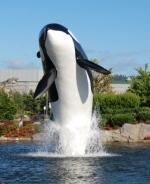 GreaterSeattle Magazines, Websites & Newspapers. http://t.co/jo2GK8BIEJ