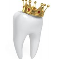 DHasclass's profile picture. The Dentist, aka the King of Pain, hath conferred upon me a crown. I am therefore a king.