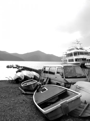 sunnygalisbobo's profile picture. 