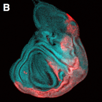 Tepass Lab (@tepasslab) 's Twitter Profile Photo