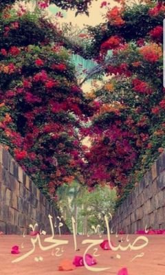 PKMItC25LJd4Esm's profile picture. ‏‏عاشق الجمال والانوثه