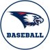 USI Baseball (@USIBaseball) Twitter profile photo