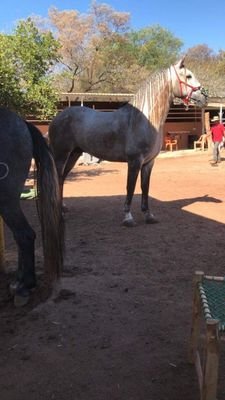 Alberto25208986's profile picture. La paciencia es la llave del paraíso