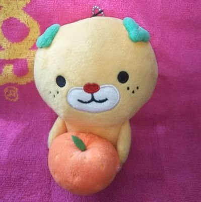 SccdMk7ggbkaS8z's profile picture. 『ありがとう！』国体、U-20必ず一緒に行く👊
★ｷﾐﾉﾔｻｼｻﾊﾜﾀｼﾉpowerﾆﾅﾙ💪