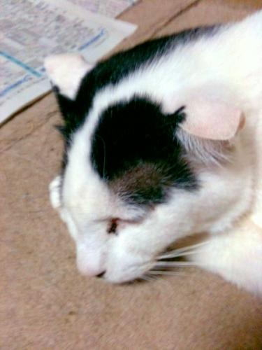 zugo9nohohon's profile picture. いろんなコトに興味津々♪ のほほんと行きましょう！ 笑門来福♪