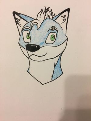 Zak Foxさんのプロフィール画像