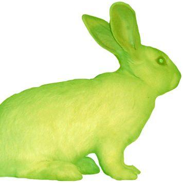 alone_rabbit's profile picture. ロックを心の友とし、酒を人生の伴侶とし、カメラを通して世界を見る非リア干物系。