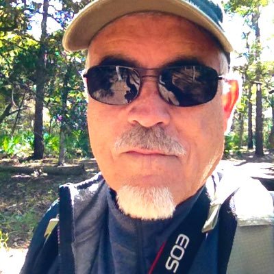 Reader writer, day hiker, tennis baseliner, guitar fondler, Apple enthusiast, bad pun laugher, howling hurricane fantods.