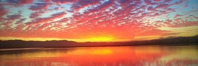 zia45975619's profile picture. studend of medical