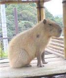 Hide_o_Tak's profile picture. 芸術的才能のない芸術家タイプです