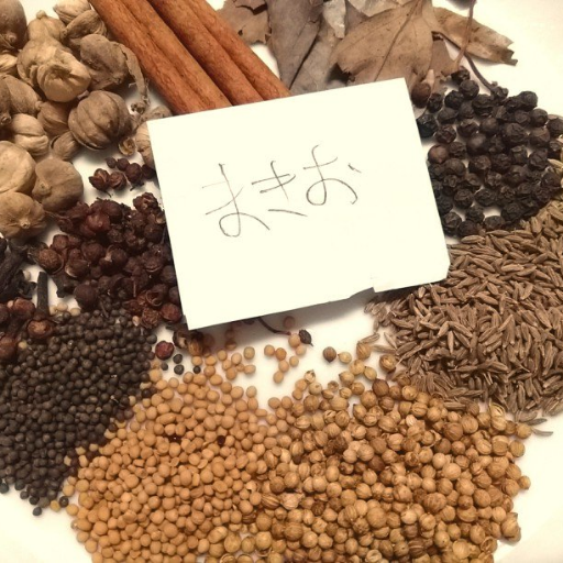 ShirowMakio's profile picture. 陰キャ コミ障 オタク 自炊 カレー 弱虫ロードバイク 写真 カメコ 耽美 楠本まき D≒SIRE ZABADAK kirche 球体関節人形 天野可淡 ※MDどこで買いましたか?には答えません