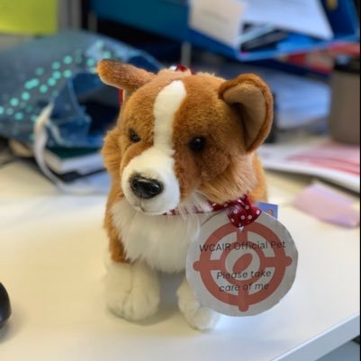 Wellcome Centre of Anti-invectives Research #officepuppy #corgi