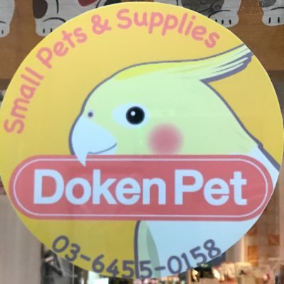 Twitter पर Dokenpet 電子マネー使えます クイックペイ ラインペイ Dカード Aripay 微信支付 渋谷 代官山 恵比寿 小鳥ペットショップ