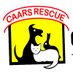 CAARS animal rescue (@CAARSrescue) Twitter profile photo