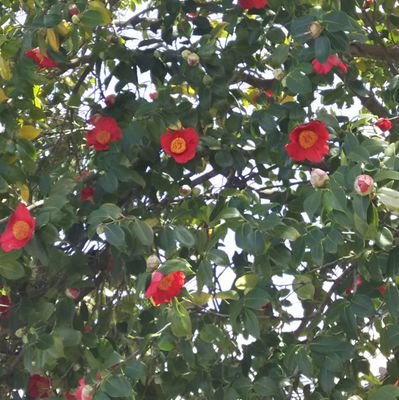 bayaaaaannn's profile picture. 知り合いのみ🌈