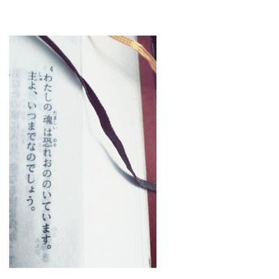 Nさんのプロフィール画像