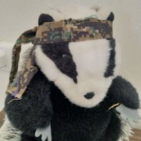 Barry the Badger(@BarryTheBastar2) 's Twitter Profile Photo