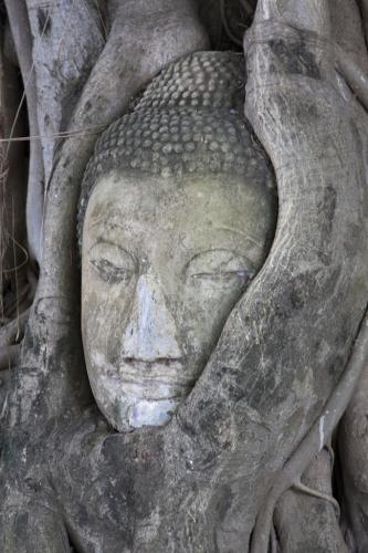 fotobeleving's profile picture. Photography | Cooking | Travel | Canon |  |