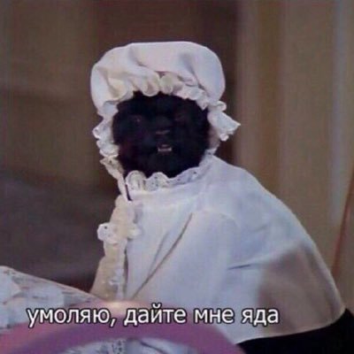 света пуси герлさんのプロフィール画像