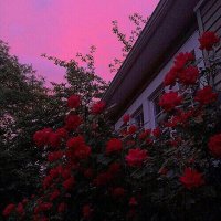 ˙˚ʚsayakaɞ˚˙ (@snmr_xxx) 's Twitter Profile