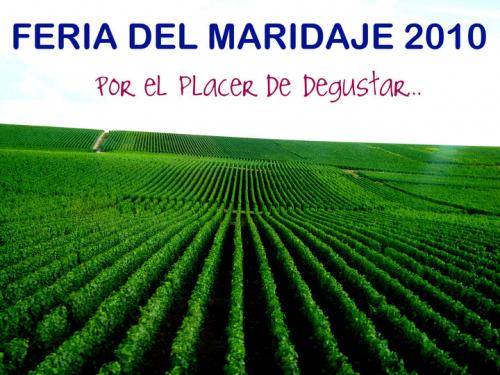 Feria de Maridage 2010 es un proyecto de la lic. de Administracion de Empresas Turisticas de la UCC.
