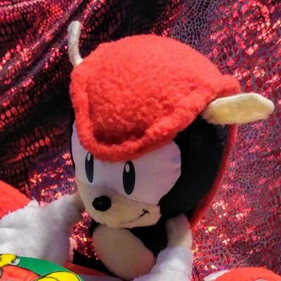 🔴: Mighty here! 🟡: Ray too! 🔴: Come take a peak into our life & travels all across the globe! 🚪▫️Account run by @mightysen▫️Plush made by @mofu_love88▫️