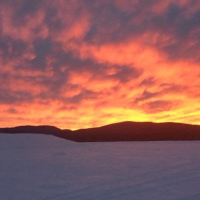 matt_horne12's profile picture. 