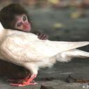 Michael Lix - @DinnaBuk - Twitter