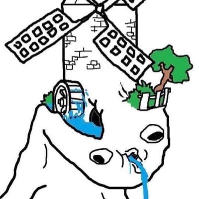 tchoin professionnelle