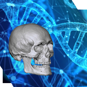 Máster en Antropologia Biològica organitzat per Universitat Autònoma de Barcelona (UAB) i Universitat de Barcelona (UB)