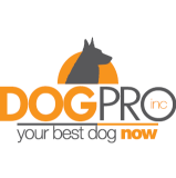 Dog Trainer and Behaviorist with 22 years experience, I provide customized solutions in K9 obedience, behavior modification and personal protection.